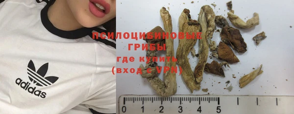 прущие крисы Баксан