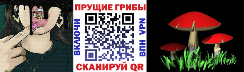 Псилоцибиновые грибы GOLDEN TEACHER  Надым 